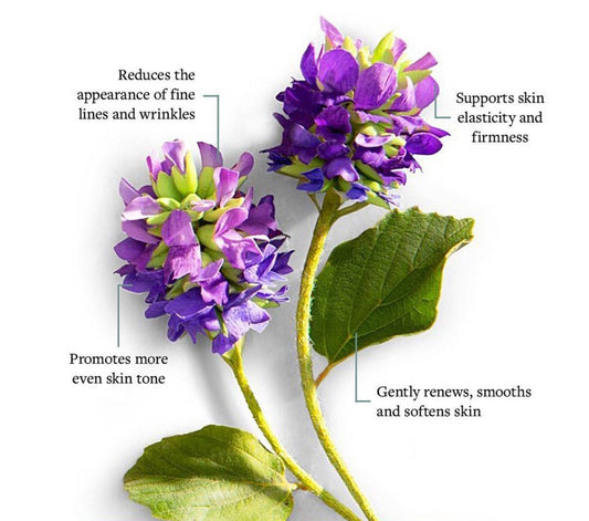 2024 SALE INNATE COSMETICS FACIAL MOISTURIZER H-Acid